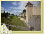 Provins_Visite (8)